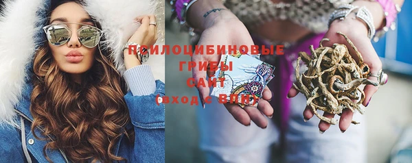 соль курить ск Горно-Алтайск
